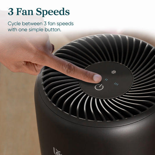 CORE MINI-P AIR PURIFIER, BLACK - 6/23 - 6/25